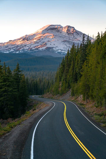 Self Drive